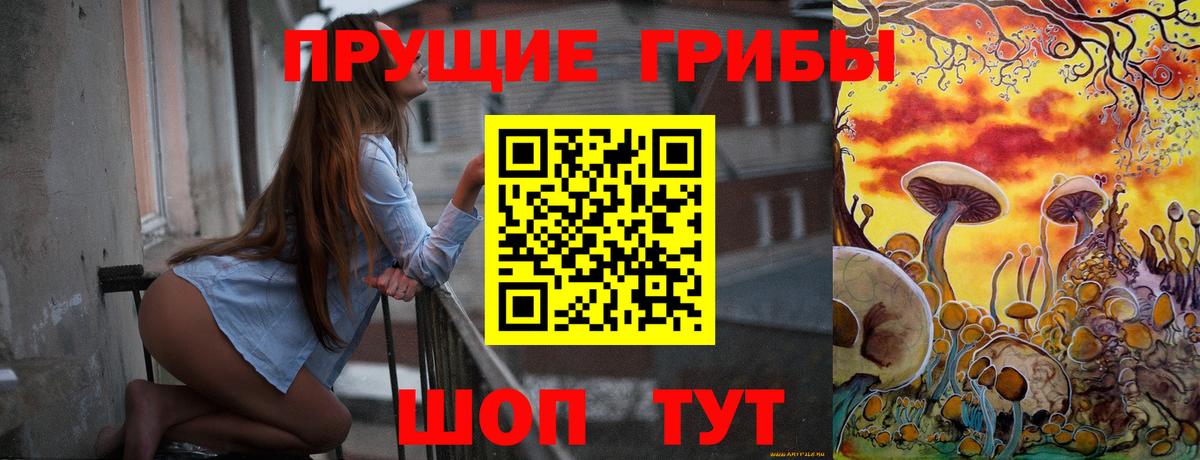 Псилоцибиновые грибы Cubensis Фурманов