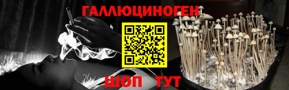 Фурманов  Псилоцибиновые грибы Psilocybe  Псилоцибиновые грибы Cubensis  Вход с VPN 